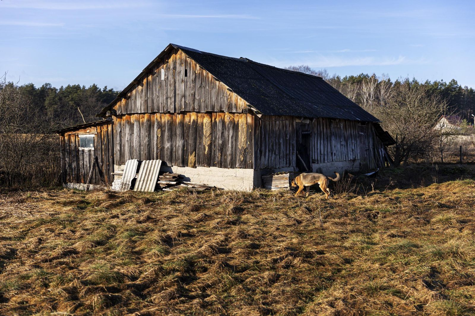 An old abandoned house | Source: Freepik
