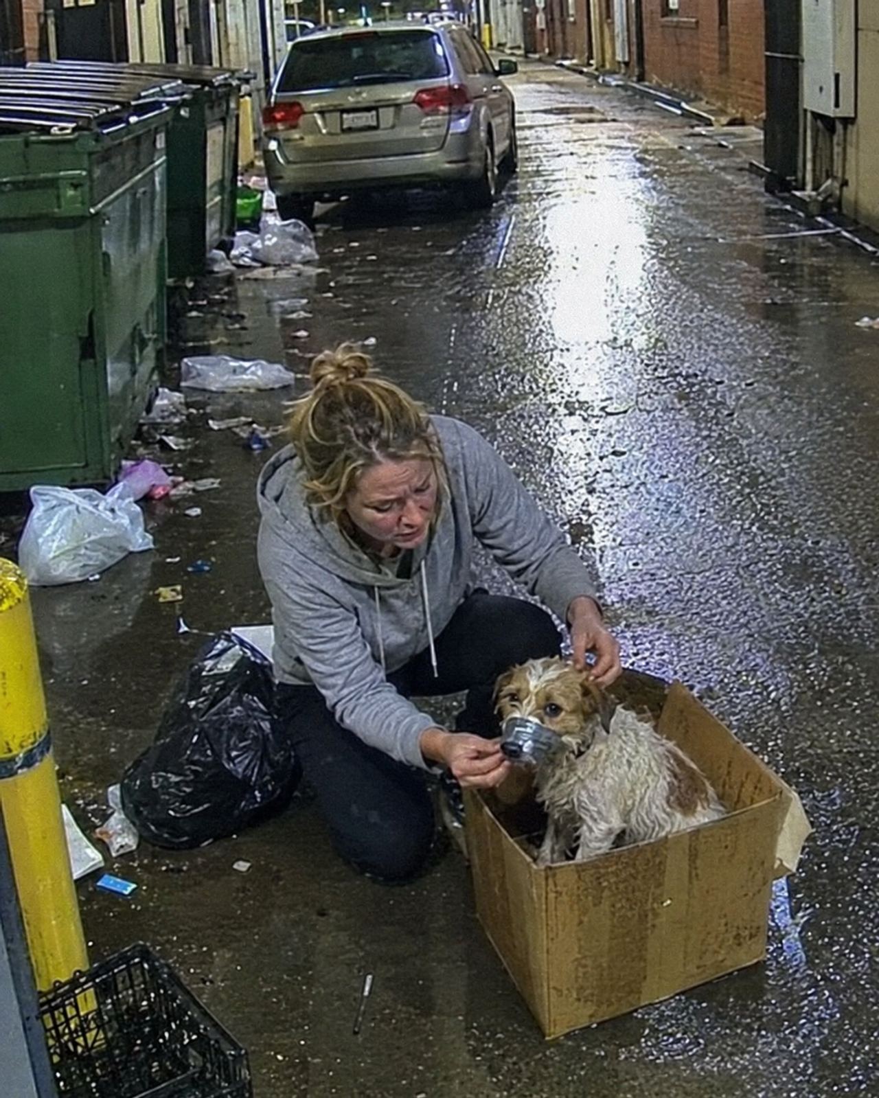 A Boxed-Up Terrier With His Mouth Taped Shut Changed Everything