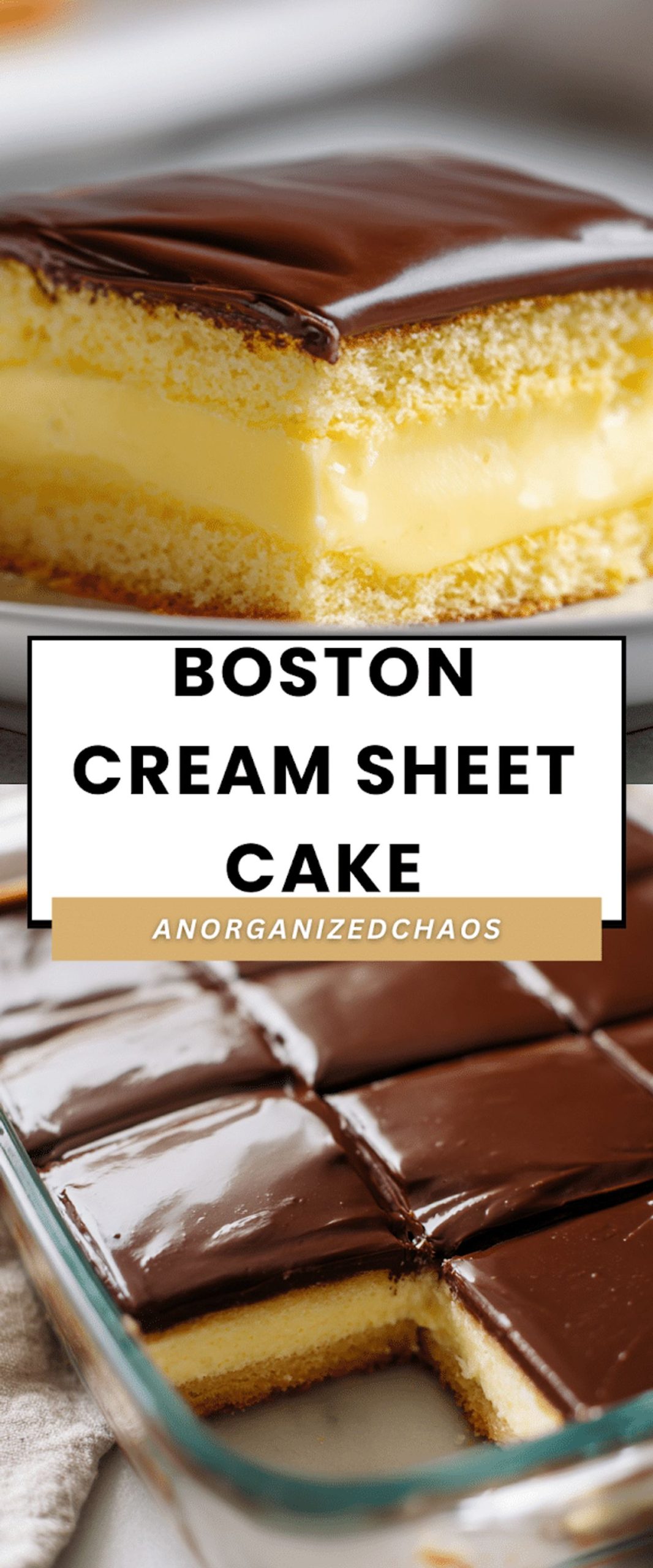 Boston Cream Sheet Cake