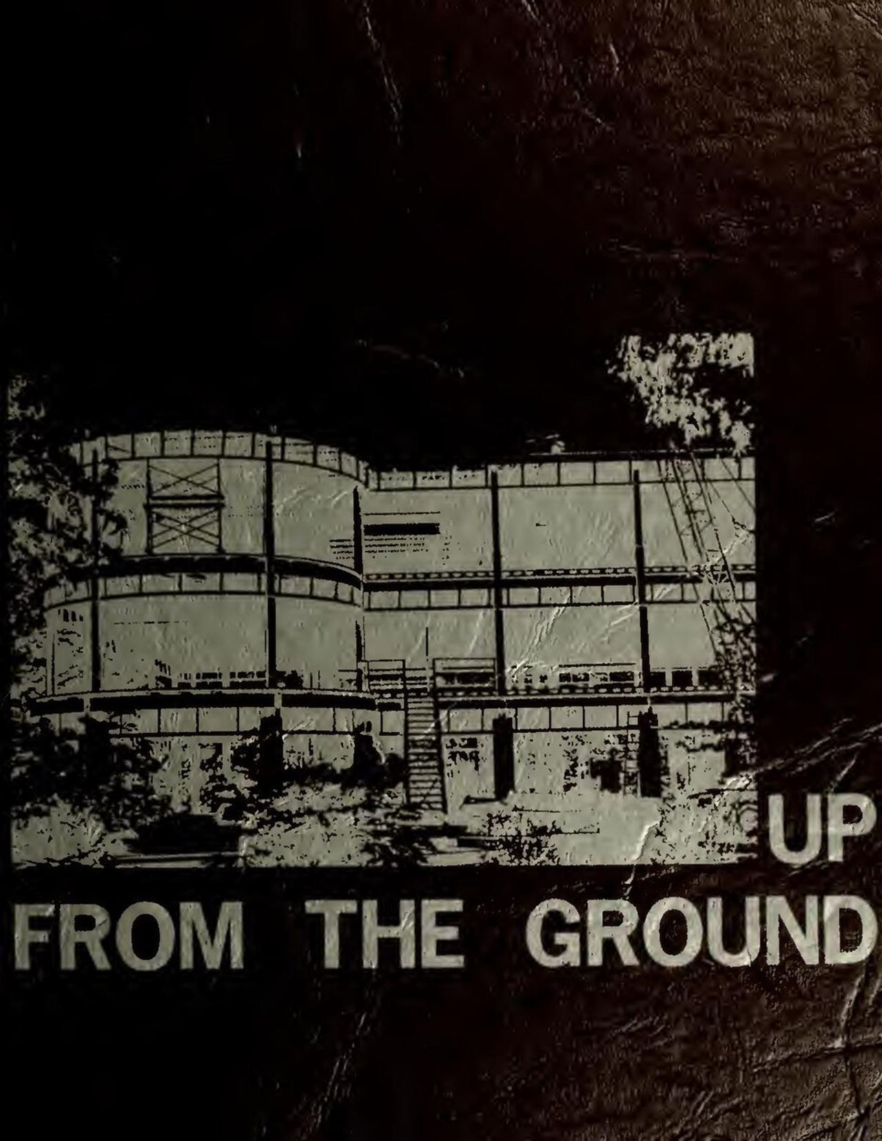 The Oak (serial) (IA oakserial1983loui)